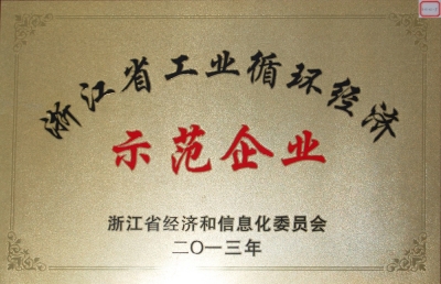 浙江省工業(yè)循環(huán)經(jīng)濟示范企業(yè)